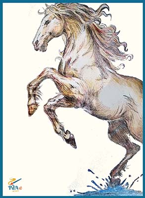 Caballo